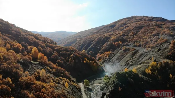 Muş'ta sonbaharın getirdiği renk cümbüşü harika görüntülere neden oldu - 16
