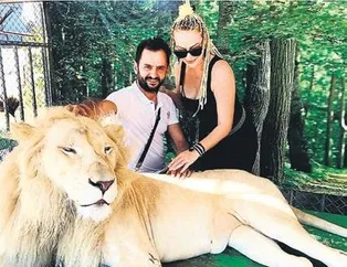 Bir aslan ‘miyav’ dedi