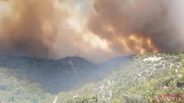 SON DAKİKA: Antalya Manavgat alevlere teslim oldu! İşte yürek yakan kareler - 33