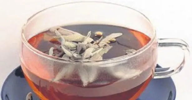 Her derde deva: Adaçayı