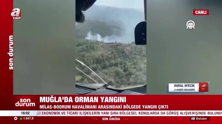 Muğla'da orman yangını!