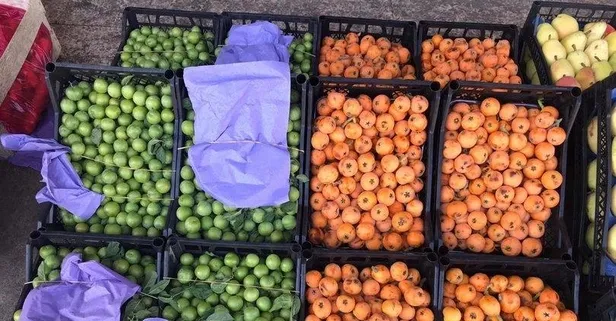 1 milyar doları aştı