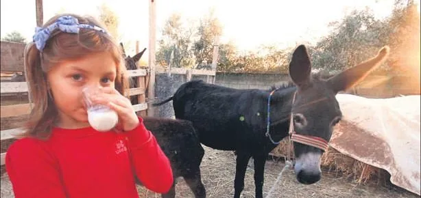 Gençlik iksiri eşek sütü