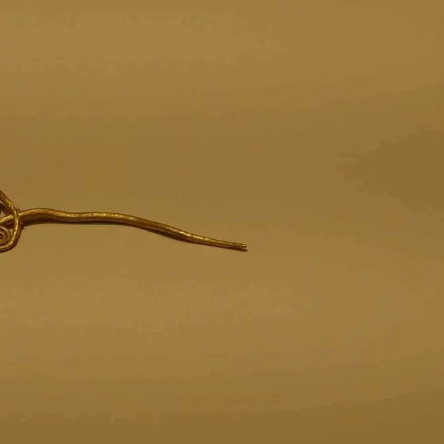 4 bin 500 yıllık keşif