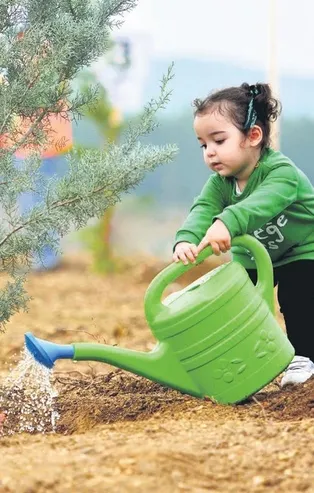Rekor ağaca rekor davet: 252 milyon fidan toprakla buluşacak