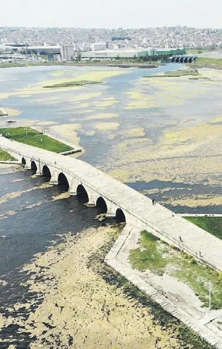 Büyükçekmece Gölünde korkutan görüntü! Adeta yeşile boyandı