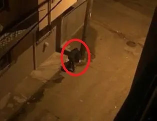 Bursa’da bir garip hırsızlık! Elinde demir makasıyla geldi