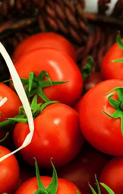 Rusya'dan flaş domates açıklaması