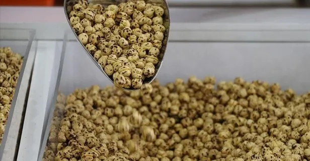 Leblebi şifa deposu olarak öne çıkıyor