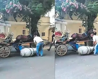 Büyükadada fayton terörü