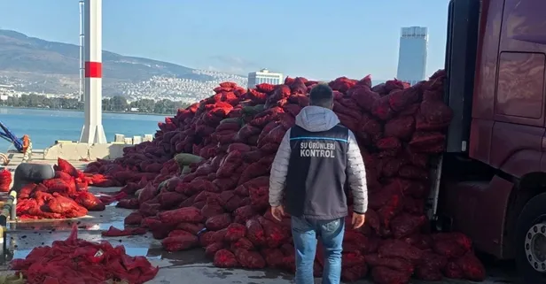 İzmir’de 27 ton yasa dışı kara midye ele geçirildi