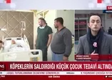 Gaziantep'te acı olay! 6 yaşındaki çocuğa köpek saldırdı