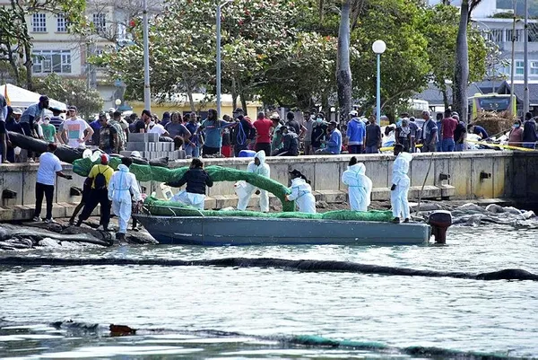 Mauritius'daki petrol felaketine karşı halk saçlarını bağışlıyor-4