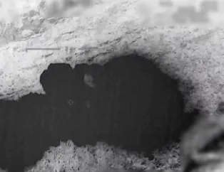 MSB duyurdu: Metina’da 8 terörist etkisiz hale getirildi