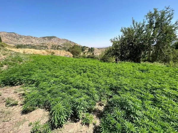 İçişleri Bakanı Soylu: Terörün finansmanı uyuşturucu abluka altında-3