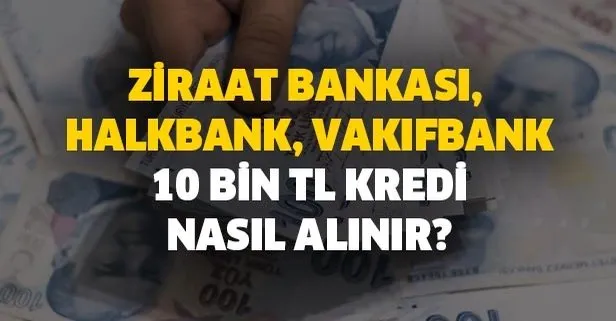 Ziraat Bankasi 10000 Tl Destek Kredisi Sorgulama 6 Ay Odemesiz