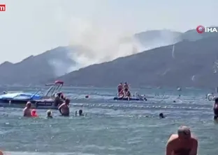 Yalova Armutlu’da orman yangını
