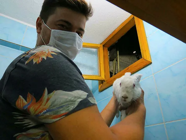 5-gundur-kaybolan-tavsan-dustugu-apartman-boslugundan-kurtarilinca-sahibi-gozyaslarina-boguldu-1600791882193.jpg 5 gündür kaybolan tavşan, düştüğü apartman boşluğundan kurtarılınca sahibi gözyaşlarına boğuldu-3