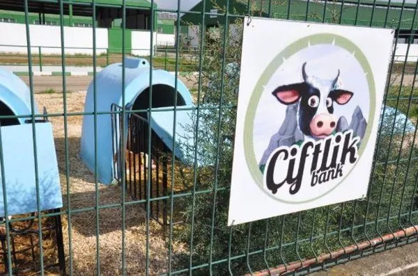 Çiftlik Bank'ın sahibinin 20 yaşındaki eşinden şok ifadeler-10