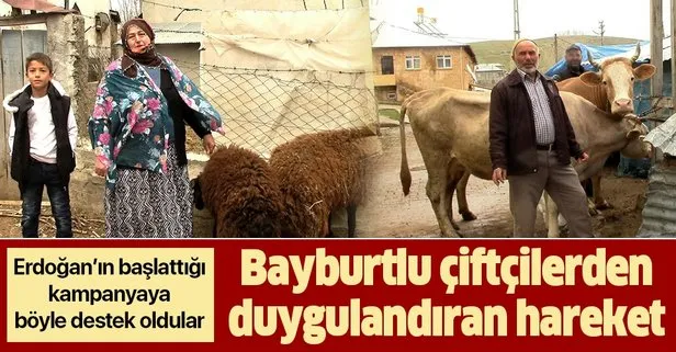 Bayburtlu çiftçilerden duygulandıran hareket! Milli Dayanışma Kampanyası’na düve ve koyun bağışıyla destek oldular