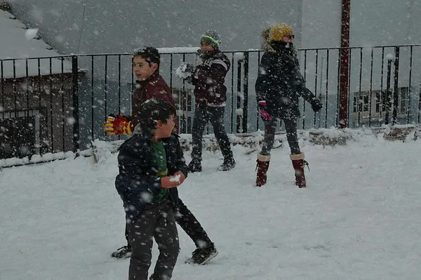 HAVA DURUMU | Kar yağışı ne zamana kadar sürecek? İstanbul'da kar devam edecek mi? 17 Ocak 2021 Pazar-9