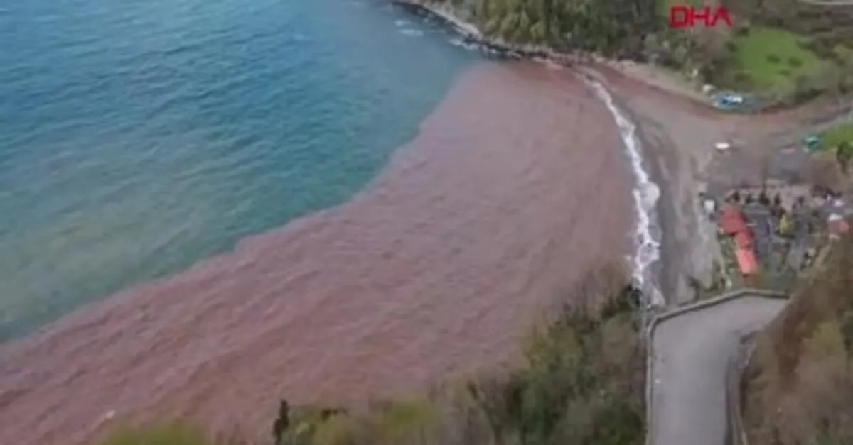 Zonguldak'ta Karadeniz'in rengi değişti