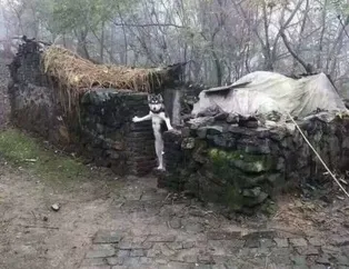 Günün en çok paylaşılan kareleri - 10 Temmuz
