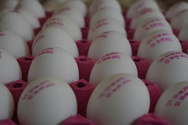 Yumurta satışında damga uygulaması başlıyor-1