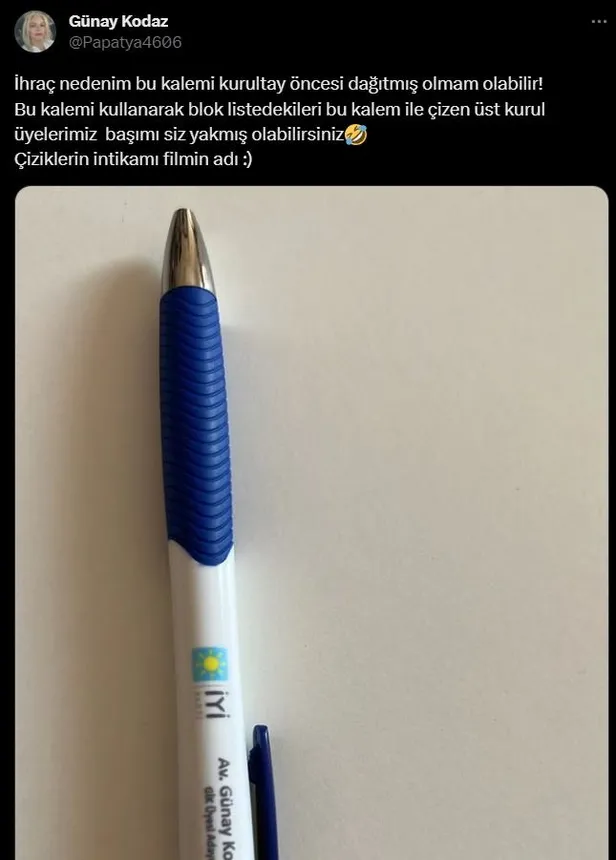 İYİ Parti'de 6 isim kesin ihraç istemiyle disipline sevk edildi! Karar sonrası Musa Ertugan ve Ethem Baykal'dan Meral Akşener'e yaylım ateşi-20