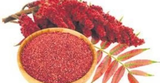 Kolesterole karşı sumak