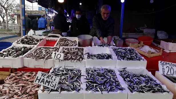 Uzmanlardan 'hamsi' uyarısı: Nesli tükenebilir-3