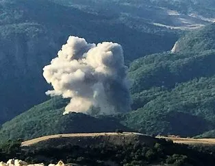 Tunceli’de ormanı ateşe veren PKK’lı öldürüldü