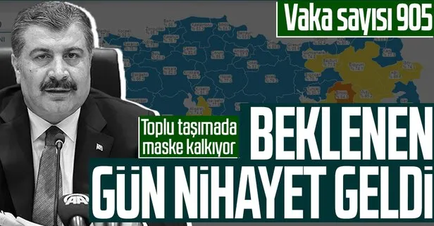 Koronavirüste son durum