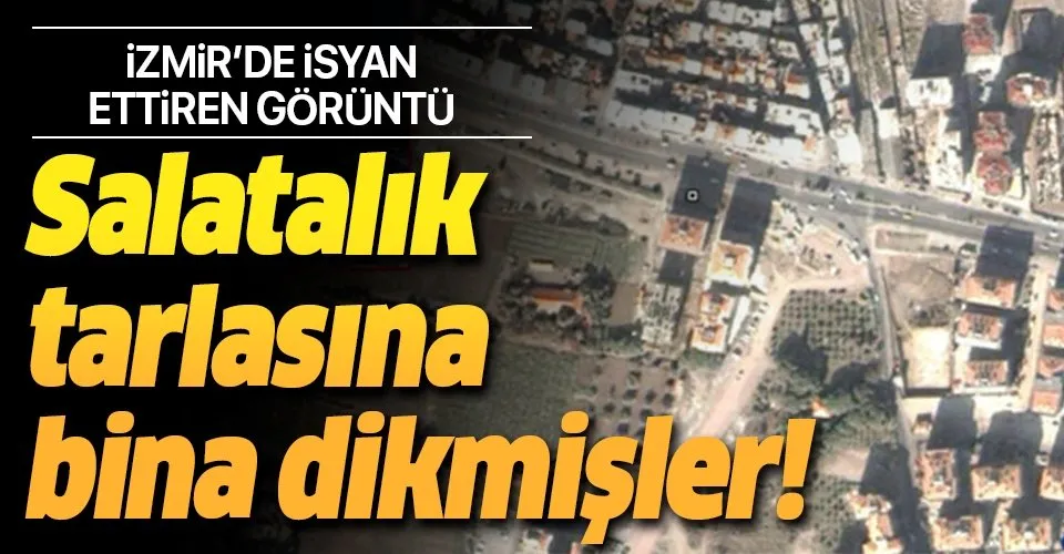 İsyan ettiren manzara! Salatalık tarlasına bina dikmişler