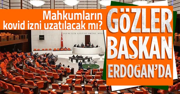 Gözler Başkan Erdoğan’da! Mahkumlar için koronavirüs izni uzatılacak mı?