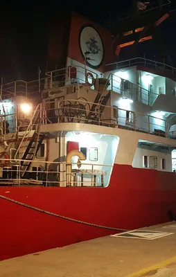 ABD kumpası çıktı