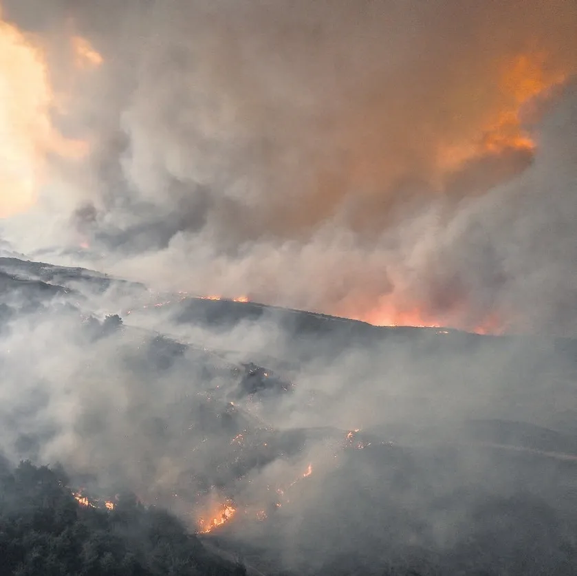 1915 ruhuyla can pahasına mücadele