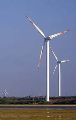 İşte bu yüzden Türkiye rüzgarı