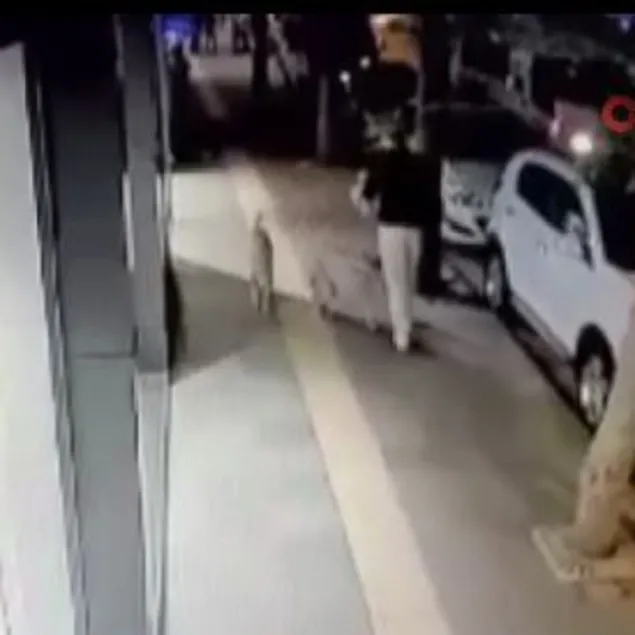 Kaldırımda yürüyeni bile ısırıyorlar