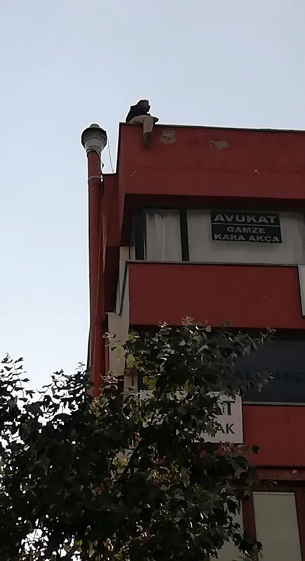 'Lösemili kızım var' yalanıyla intihara kalkıştı, dolandırıcı çıktı-1