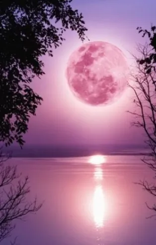 Pembe Ay nedir, ne zaman ortaya çıkacak 2021? Pembe Ay'ın burçlara etkisi ne olacak? Hangi burçlar etkilenecek?