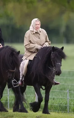 Kraliçe bu tutkusu sayesinde servetine servet kattı