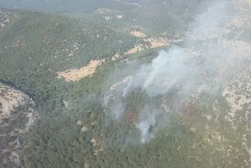 İzmir’de orman yangını kontrol altında