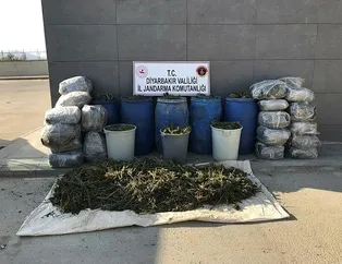 Diyarbakır’da büyük operasyon!