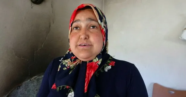 Adana’da akrep yiyen sarı kız örümceğini öldürmeyen köylüler: İnsanlara zarar verdiğini duymadım
