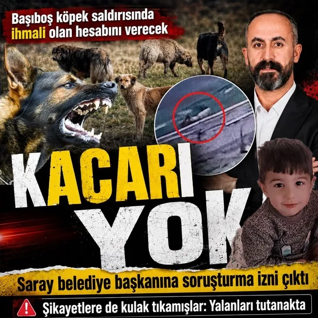 İhmali olan hesabını verecek! Van’daki sahipsiz köpek saldırısında belediye başkanına soruşturma izni