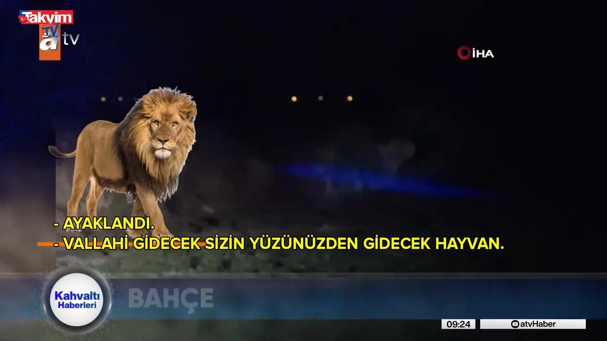 Antalya'da Aslan saldırısı