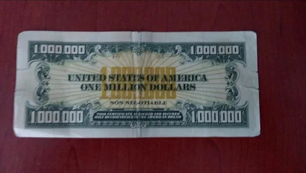 Uşak'ta ‘Amerikan rüyası'nın sembolü 1 milyon dolarlık banknot ele geçirildi-2