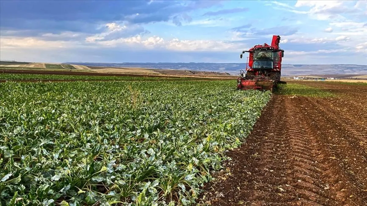 Bakan Yumaklı duyurdu: Tarımsal destek ödemeleri bugün hesaplara yatıyor