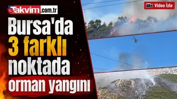 Bursa'da 3 farklı noktada orman yangını